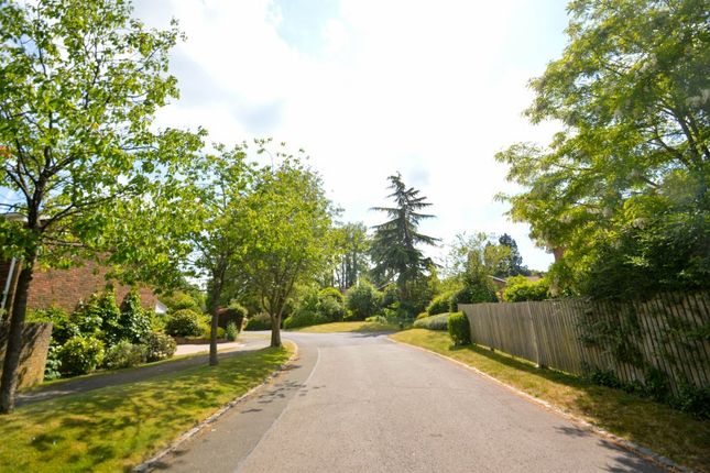 15 Huntsmans Meadow, No Street Name Specified, Ascot photo 4