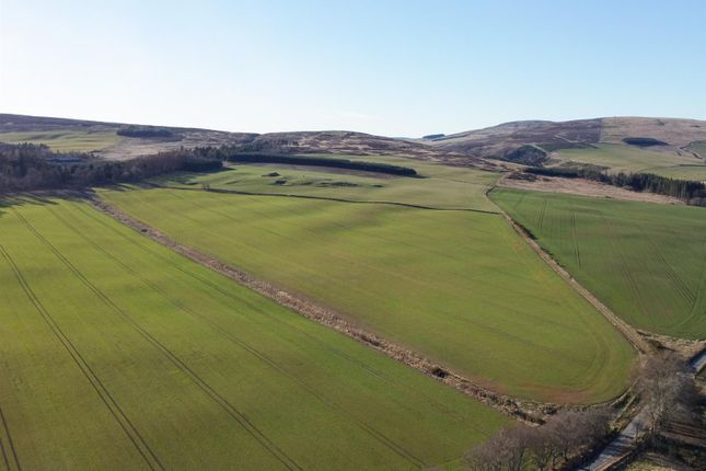 Land for sale in Duns