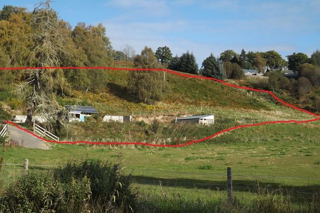 Land for sale in Inchnavie Lower, Newbridge, Ardross, Alness