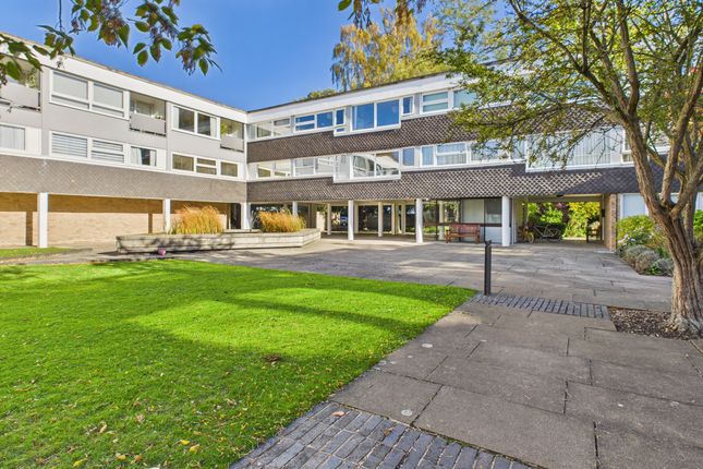 Cam02545G0-Pr0517-Still019