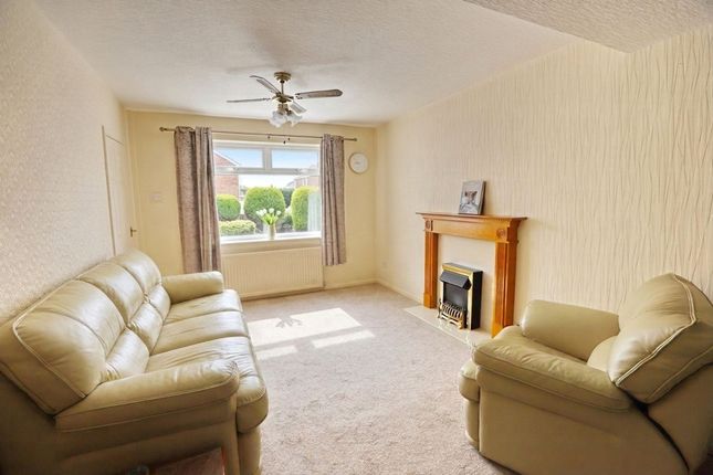 95 Woodward Road, Manchester photo 3