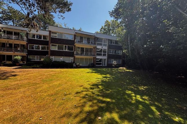 Rear Elevation2.Jpg