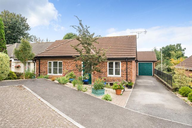 Thumbnail Detached bungalow for sale in Jeffs Way, Axminster