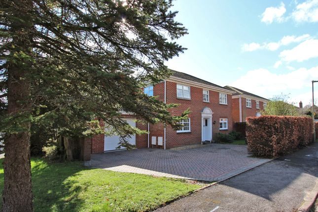 Thumbnail Detached house for sale in Buldowne Walk, Sway, Lymington, Hampshire