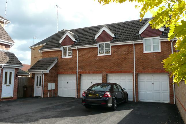 Thumbnail Property to rent in Campion Road, Hatfield, Hertfordshire