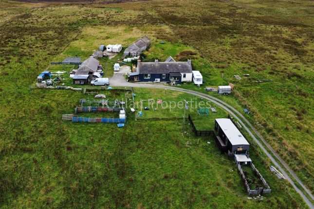 Thumbnail Detached house for sale in Windbreak, Flotta, Orkney