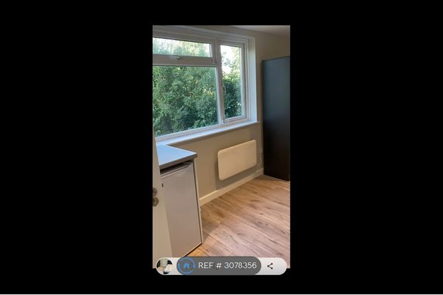 Orpington photo 3