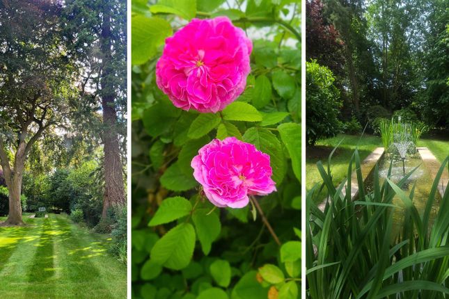 Enchanting Private Grounds