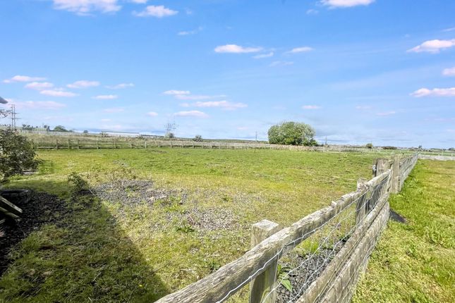 Grange Villa Farm, Ulgham, Morpeth photo 5
