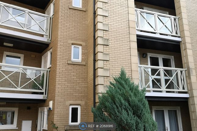 Thumbnail Flat to rent in Haywra Court, Harrogate