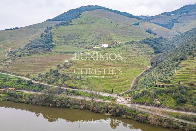 Farm for sale in São Cristovão Do Douro, 5085, Portugal
