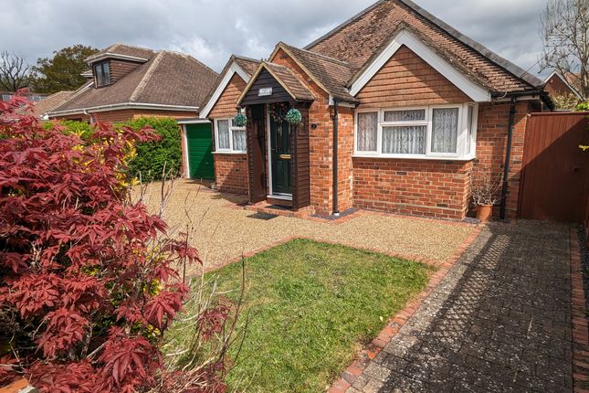 Thumbnail Detached bungalow for sale in Birch Road, Farncombe