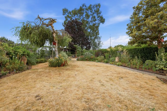 54, Ashley Road, Newmarket photo 4
