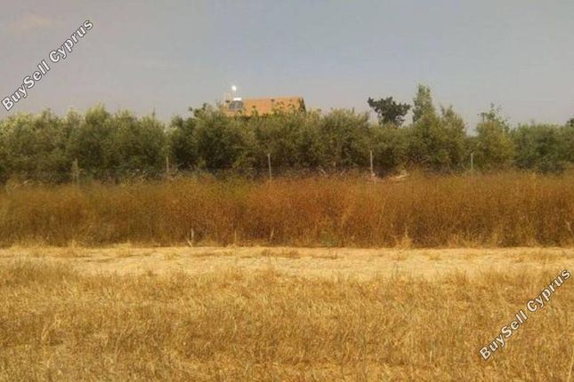 Land for sale in Mazotos, Larnaca, Cyprus
