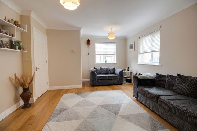 8 Collie Drive, Ashford photo 4