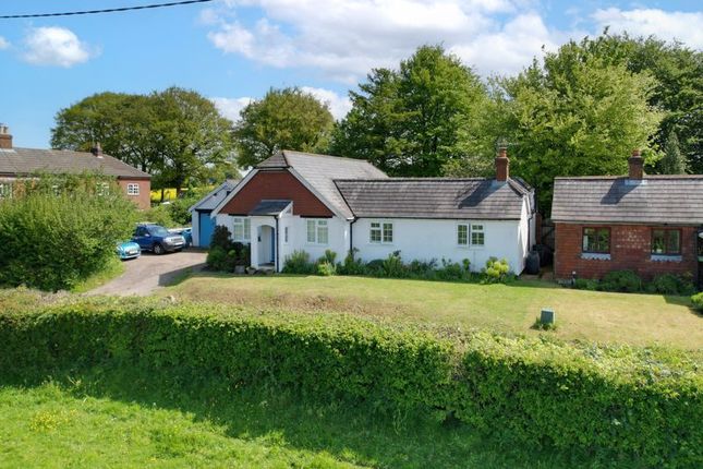 Thumbnail Bungalow for sale in Crondall, Farnham
