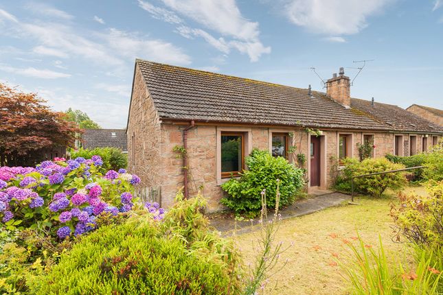 Thumbnail Semi-detached bungalow for sale in Seaforth Place, Maryburgh, Dingwall, Highland