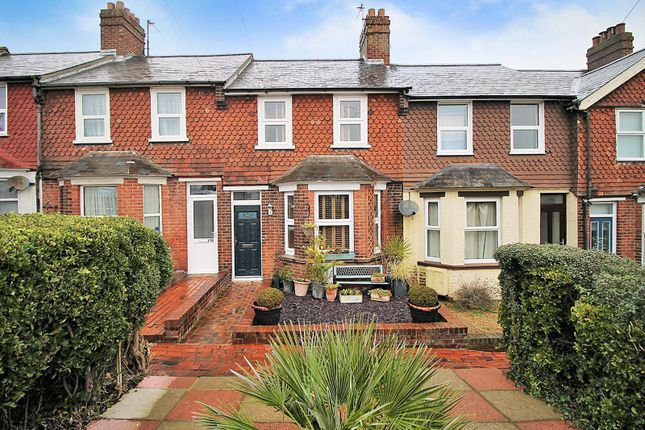 3 Bed Terraced House For Sale In Whitley Road Eastbourne Bn22