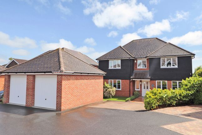 Thumbnail Detached house for sale in Morrell Close, Southampton