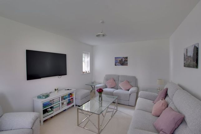 16, Roman Place, Westbury photo 4