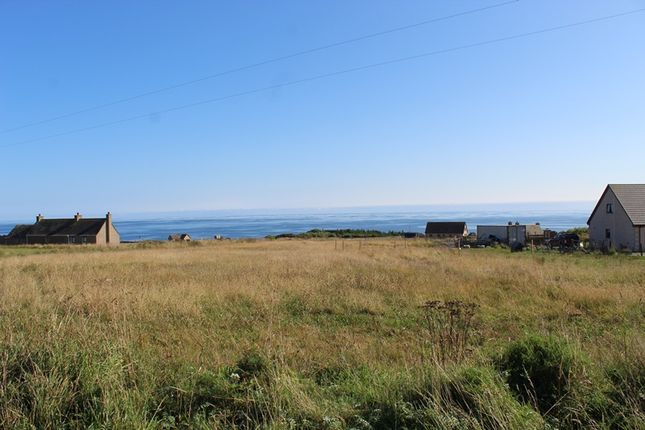 Land for sale in Skirza, Freswick