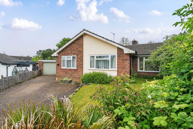 Thumbnail Detached bungalow for sale in Lynch Close, Winchester