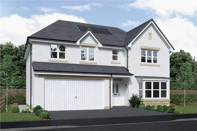 Thumbnail Detached house for sale in "Elmford" at Brora Crescent, Hamilton