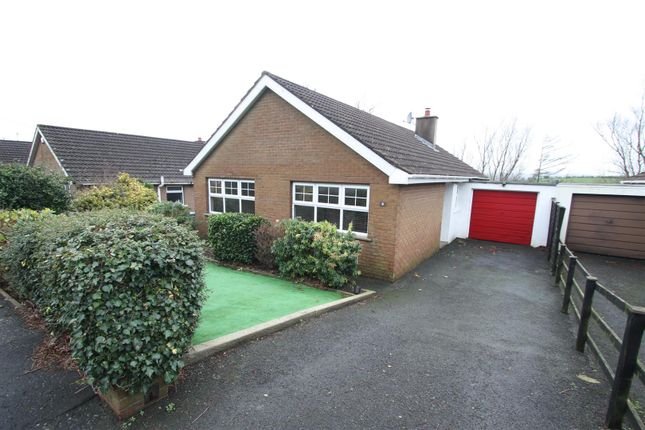Detached bungalow for sale in Drumhill Park, Ballynahinch