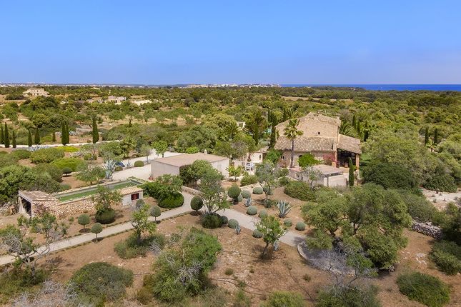 Country house for sale in Country Home, S'horta, Felanitx, Mallorca, 07669