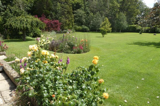 Three Acres, Musbury Lane, Sturminster Newton photo 2