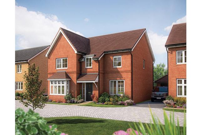 Thumbnail Detached house for sale in "Birch" at Hitchin Road, Clifton, Shefford