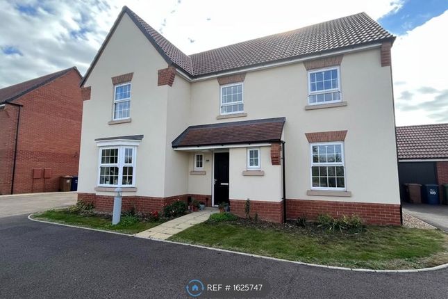 Thumbnail Detached house to rent in Snowley Park, Peterborough