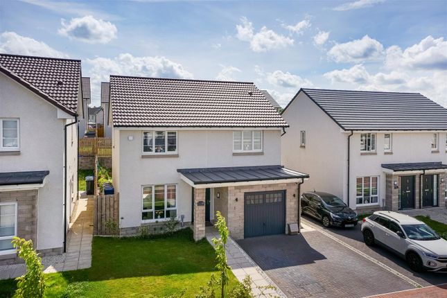 57Alnwick-Elevated.Jpg