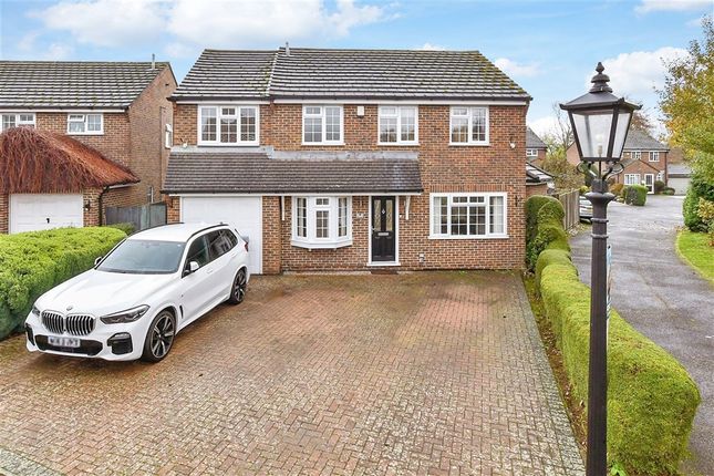 Front Elevation (Web)