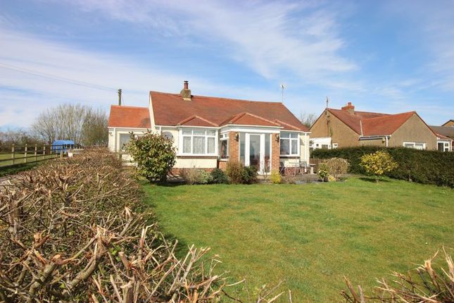 Thumbnail Detached bungalow to rent in Lydney Road, Bream, Lydney