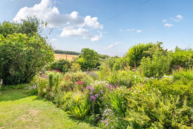 1 Hollygrove Cottage, Wimborne photo 2