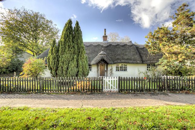 Thumbnail Cottage for sale in The Street, Little Dunmow, Dunmow
