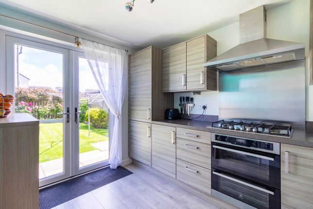 14, Doug Ford Street, Arbroath photo 3