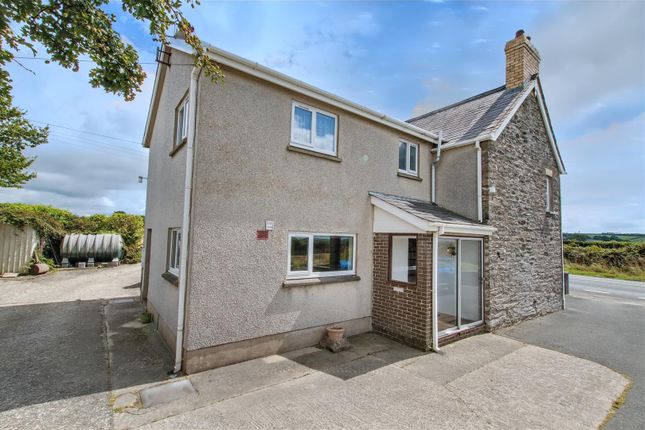 Brynarfor, Cardigan photo 4