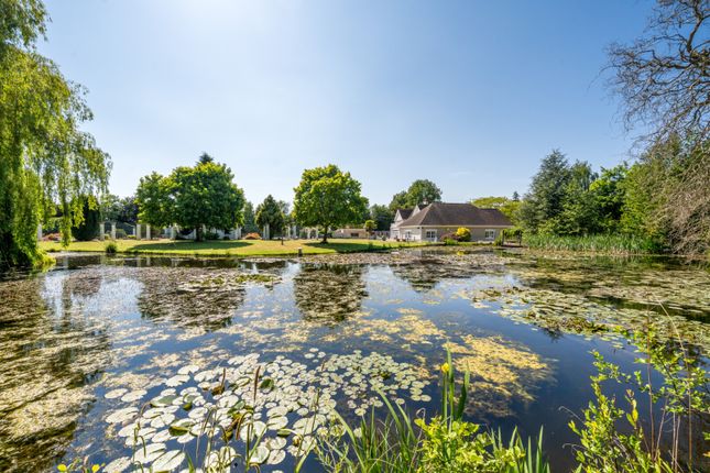 Gardens