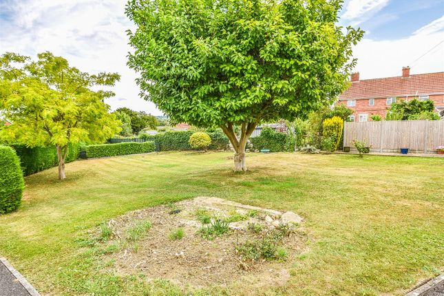 5, Morris Orchard, Cam photo 2