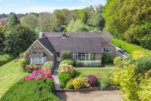 Detached house for sale in Hammer Lane, Grayshott, Hindhead, Surrey