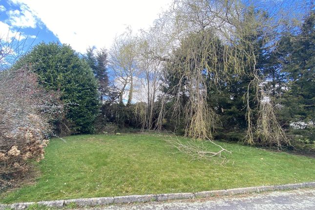 Primrose Cottage, Willas Road, Lifton photo 2