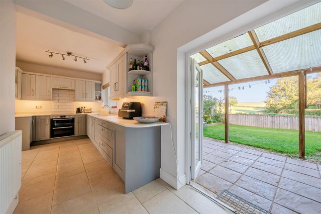 Honiton photo 4