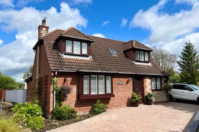 Thumbnail Detached house for sale in Burton Road, Wool BH20.