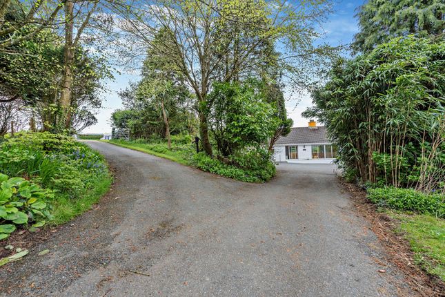 Detached bungalow for sale in Stepaside, Narberth