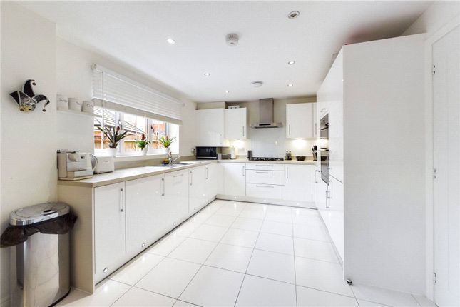 MARKETING CARD, 23, Bowling Green, Reading photo 4