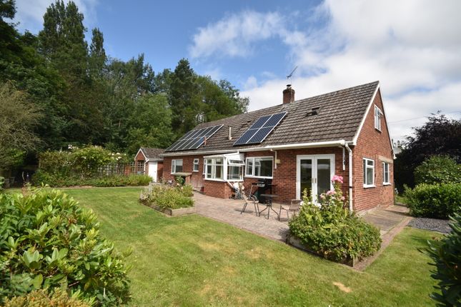 The Clays, Maesllwyn Lane, Bronington, Wrexham photo 4