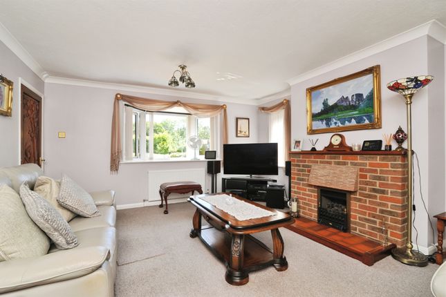 Spring Cottage, Butchers Lane, Hastings photo 4