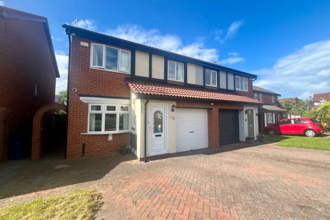 Homes to Let in South Shields - Rent Property in South Shields